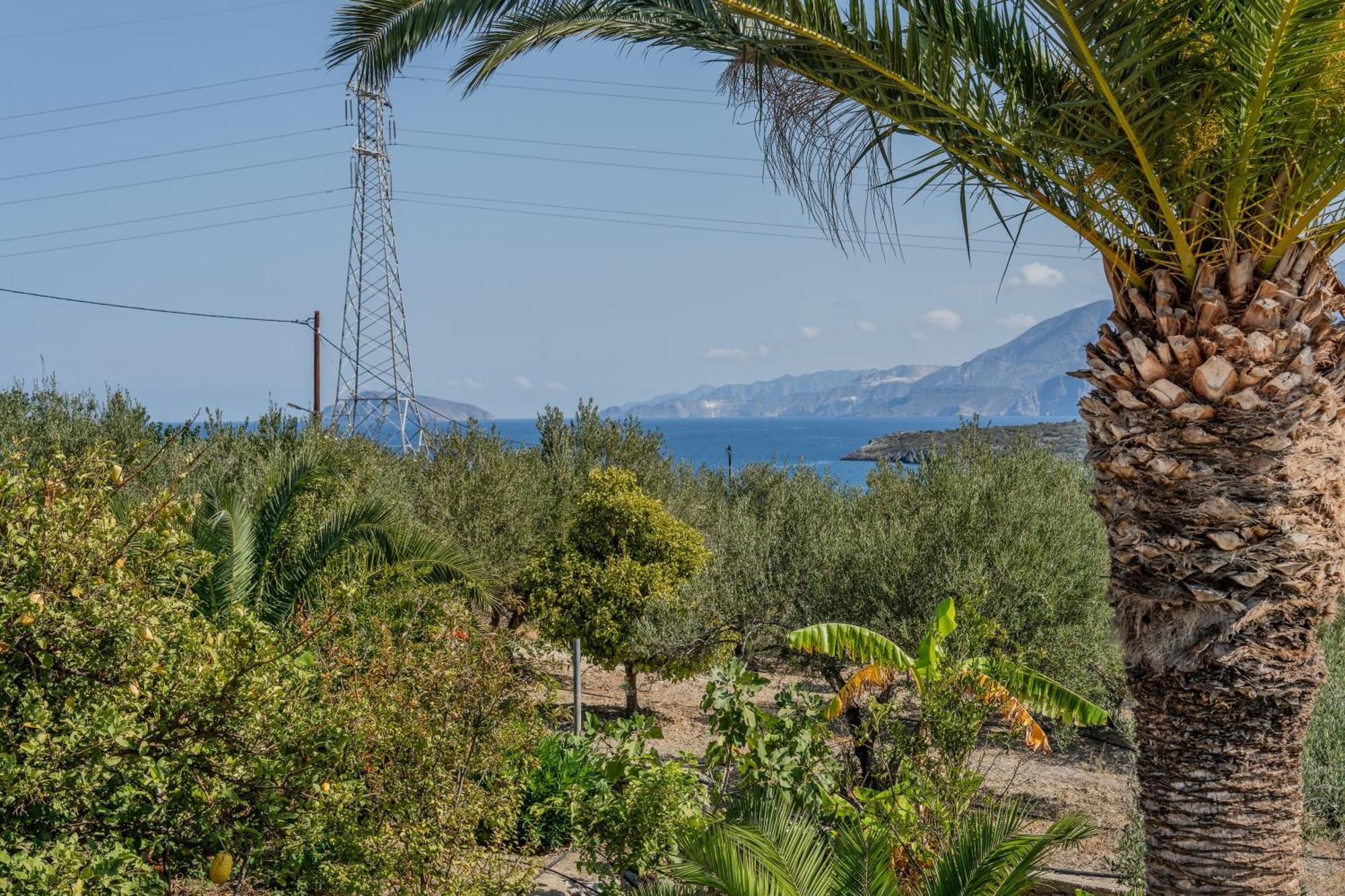 Athina Villas Istron Exteriör bild