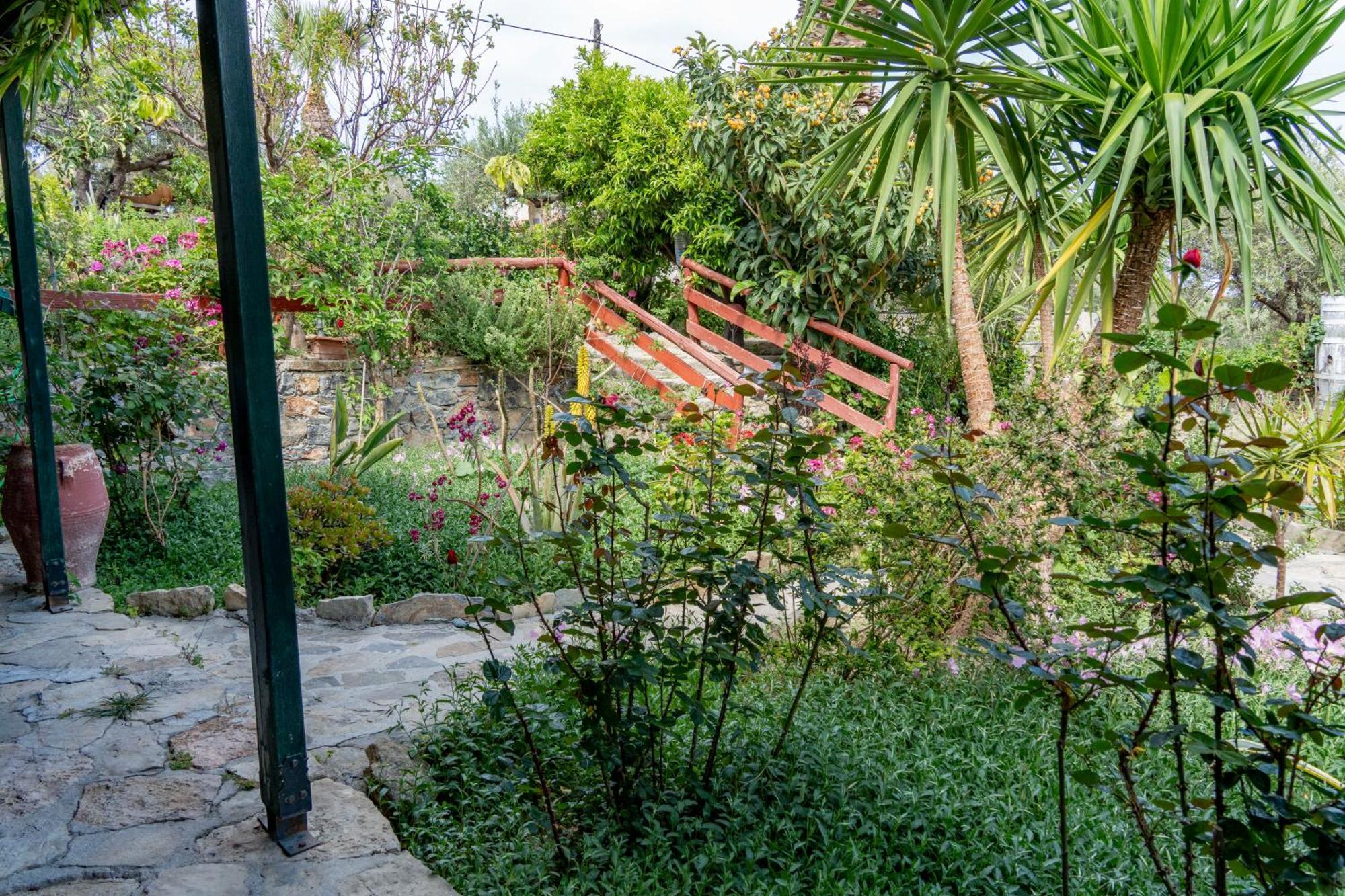 Athina Villas Istron Exteriör bild